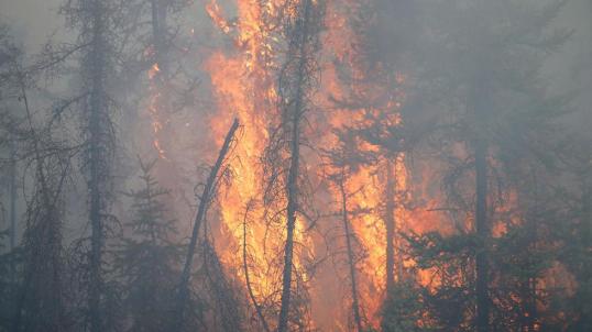 canadawildfire_106